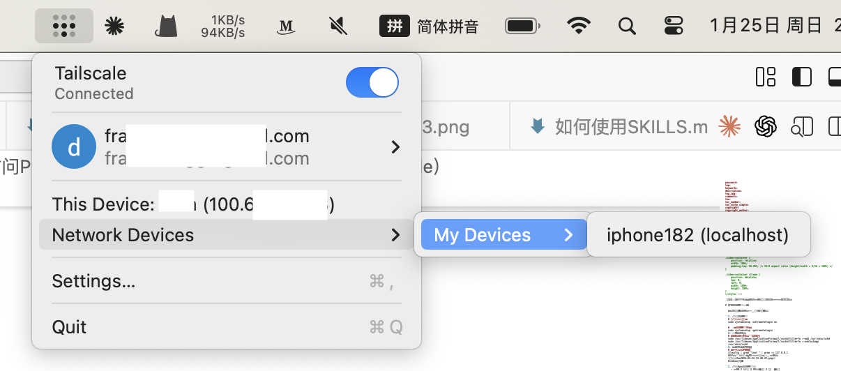 Tailscale设备列表